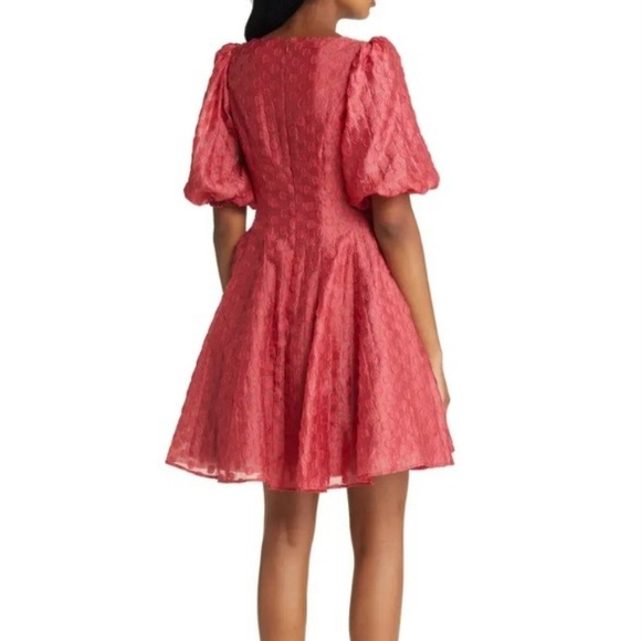 Rachel Parcell Flared Puff Sleeve Organza Mini Dress - Picture 3 of 15